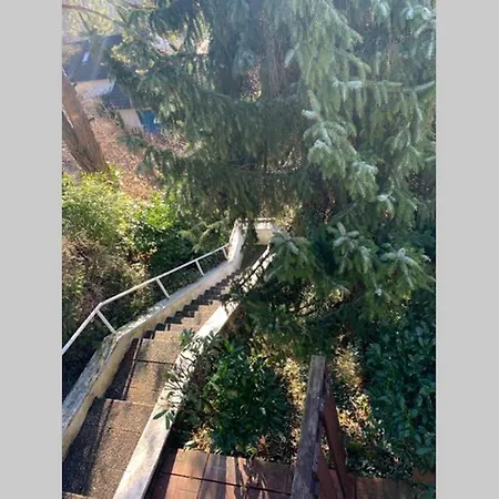 Apartment Carmen Im Schönen Lahr *